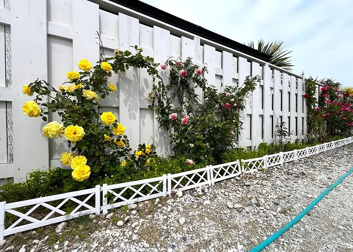 九十九里 Surf Side Dogrun House