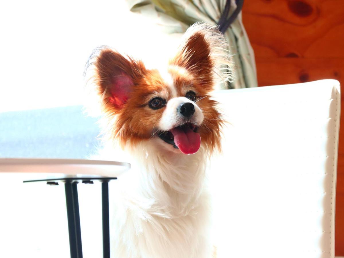 Villa 九十九里 Surf Side Dogrun House *