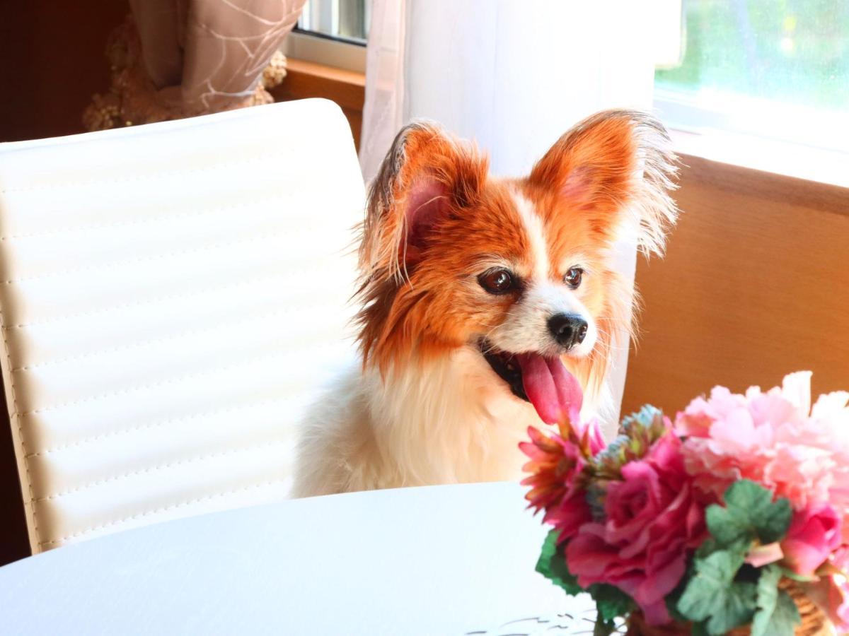 九十九里 Surf Side Dogrun House