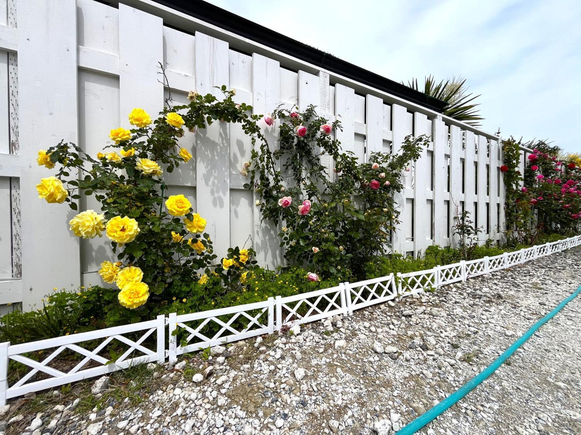 九十九里 Surf Side Dogrun House Villa
